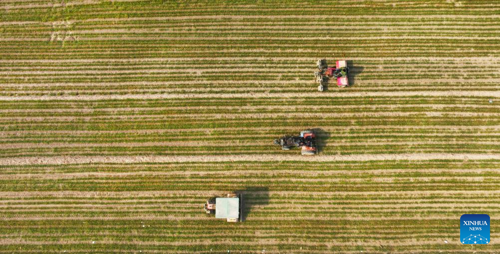 Farming activities in full swing across China in early spring