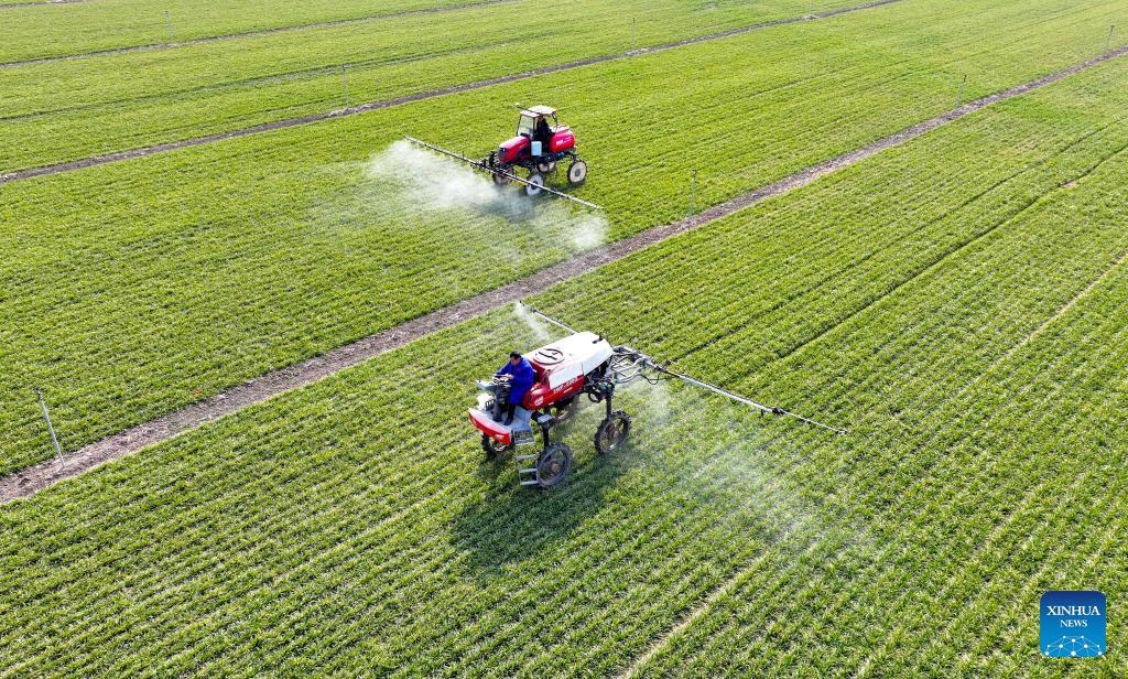 Farming activities in full swing across China in early spring