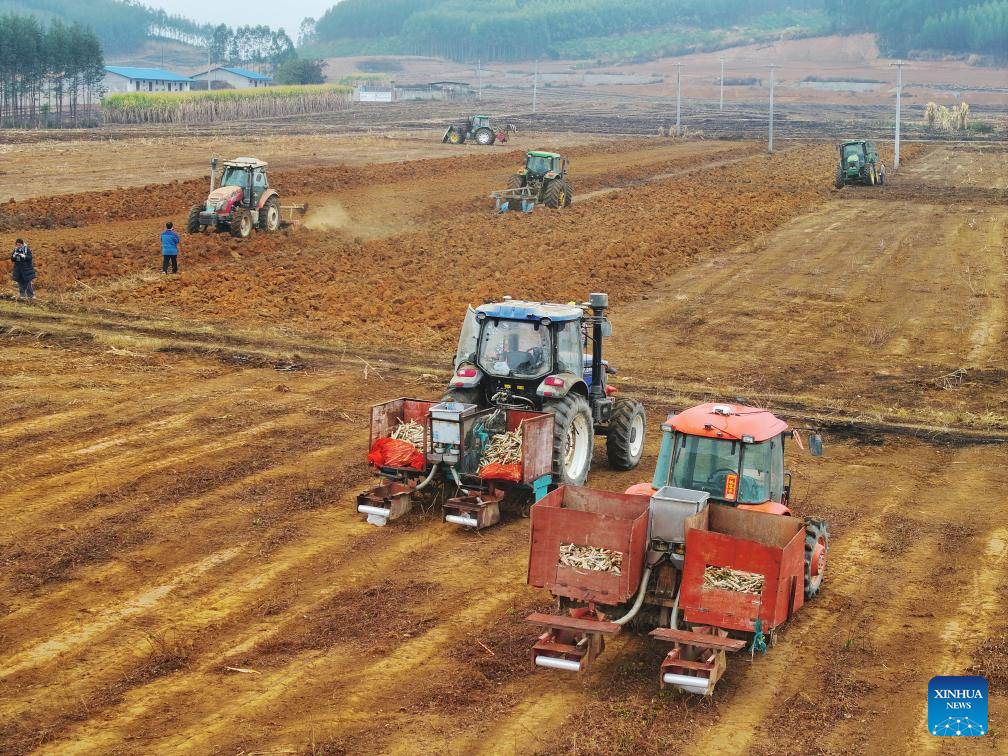 Farming activities in full swing across China in early spring