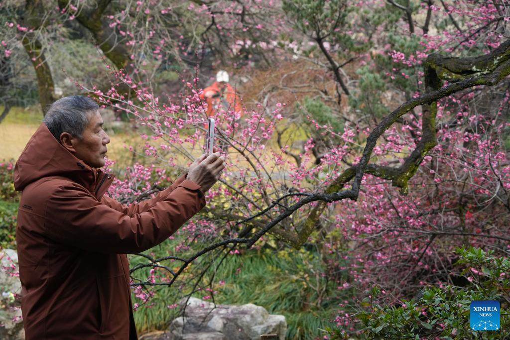 Tourists enjoy plum blossoms at Lingfeng Mountain in Hangzhou