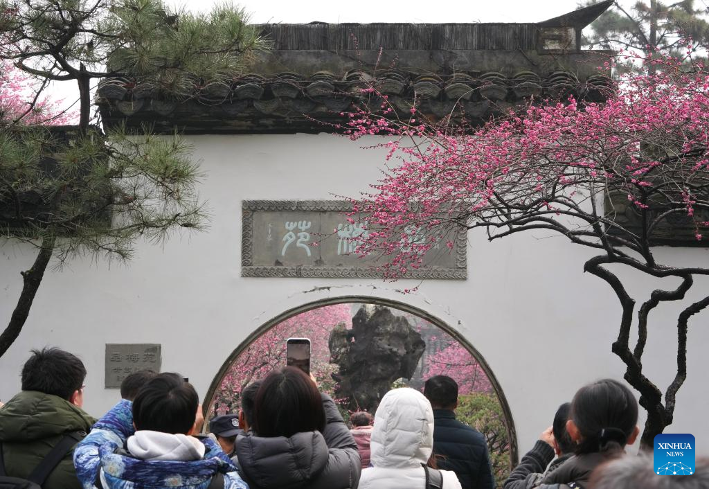 Tourists enjoy plum blossoms at Lingfeng Mountain in Hangzhou