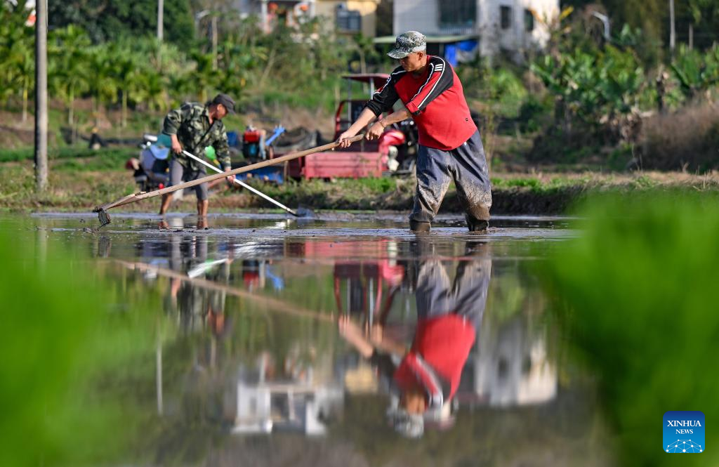 Farming activities in full swing in China's Hainan in early spring