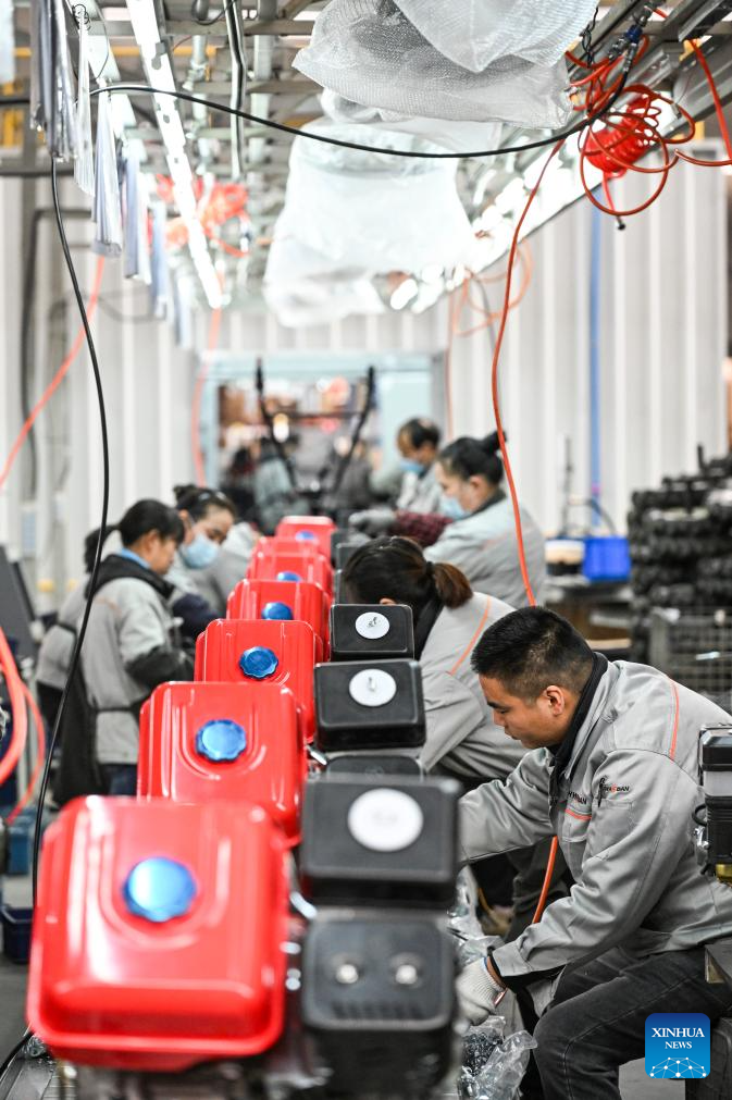 Chongqing promotes high-quality development of private sector