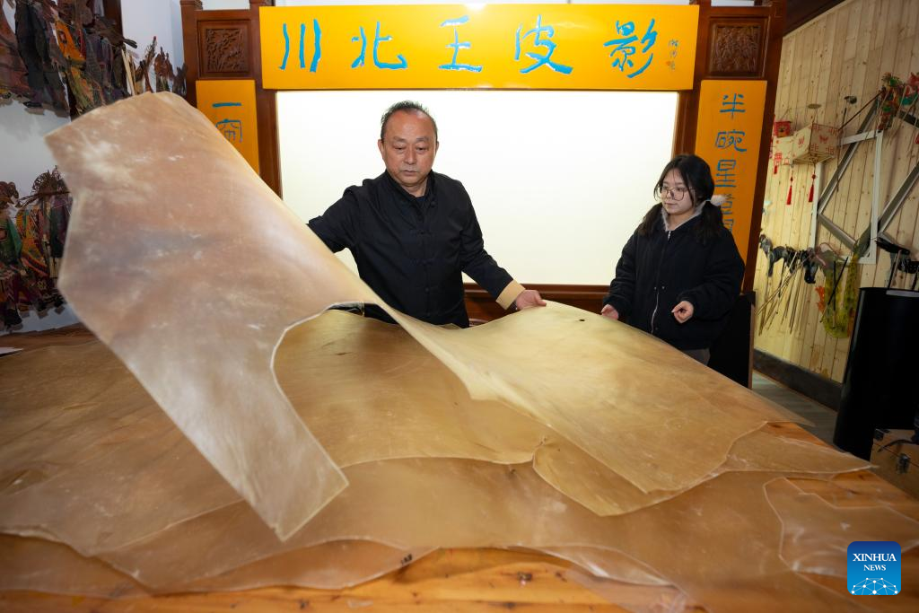 Pic story: inheritor of Wang's Shadow Play in China's Sichuan