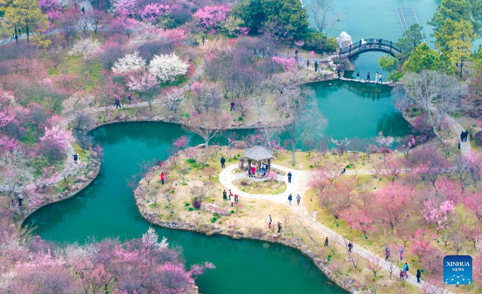 Spring scenery across China