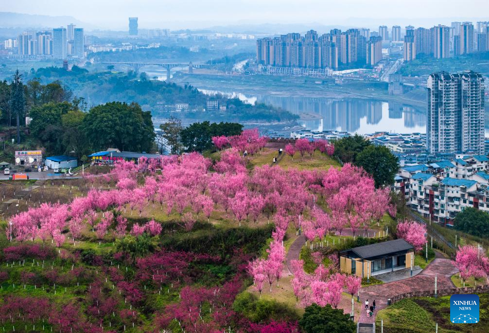 Spring scenery across China