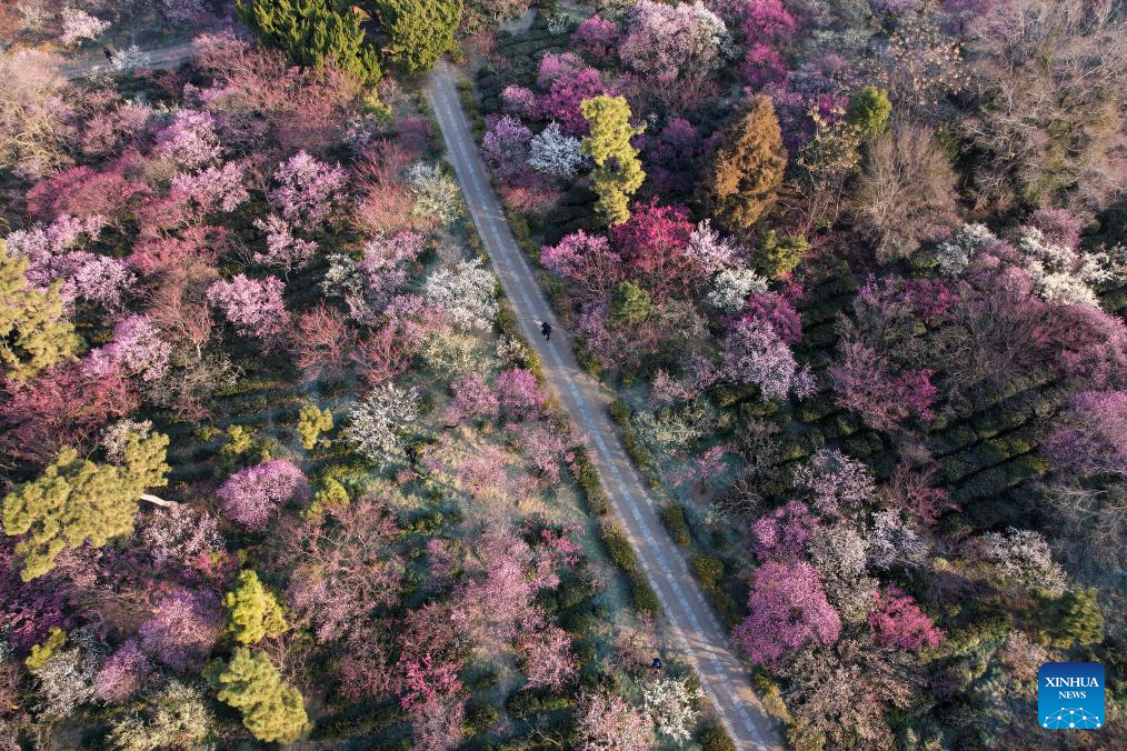 Spring scenery across China