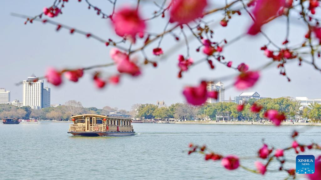 Spring scenery across China