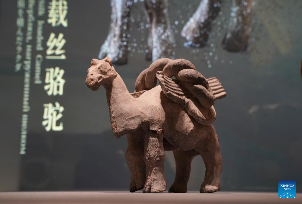 Relics museum opens at NW China airport