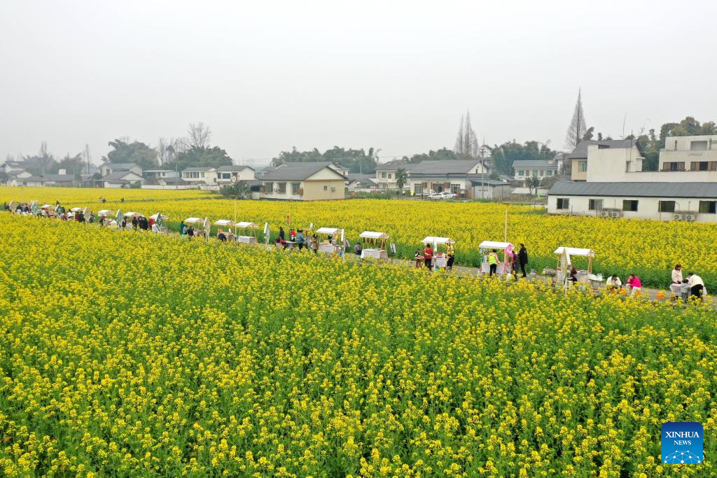 People enjoy spring across China