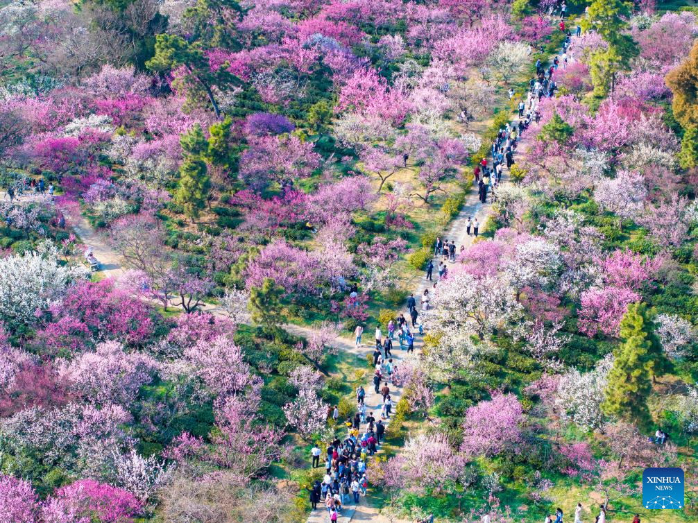 People enjoy spring across China