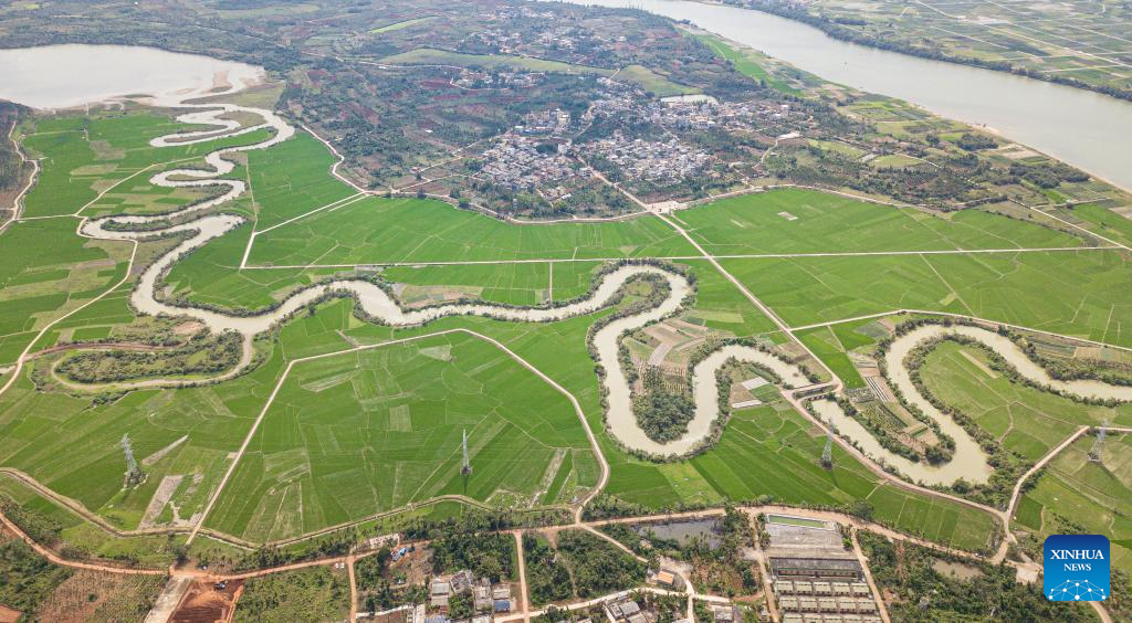 Aerial view of tributary of Nandu River meandering through paddy field in Haikou