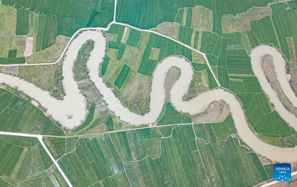 Aerial view of tributary of Nandu River meandering through paddy field in Haikou