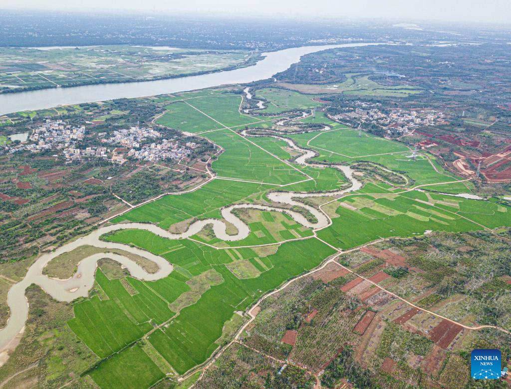 Aerial view of tributary of Nandu River meandering through paddy field in Haikou