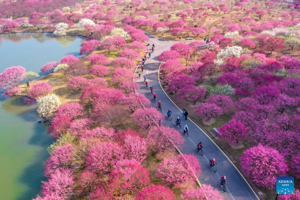 People enjoy spring across China