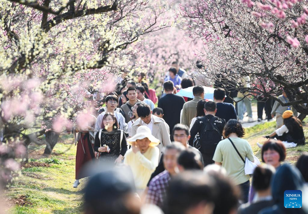 People enjoy spring across China