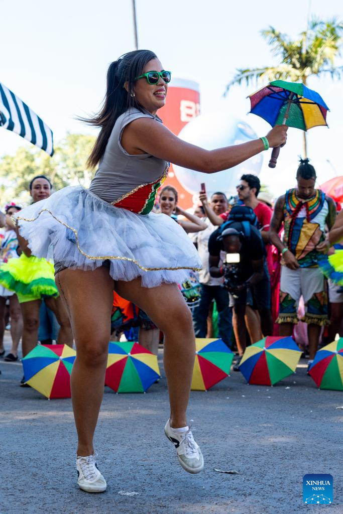 2025 Sao Paulo Carnival held in Brazil