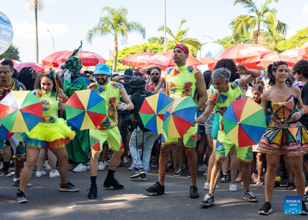 2025 Sao Paulo Carnival held in Brazil