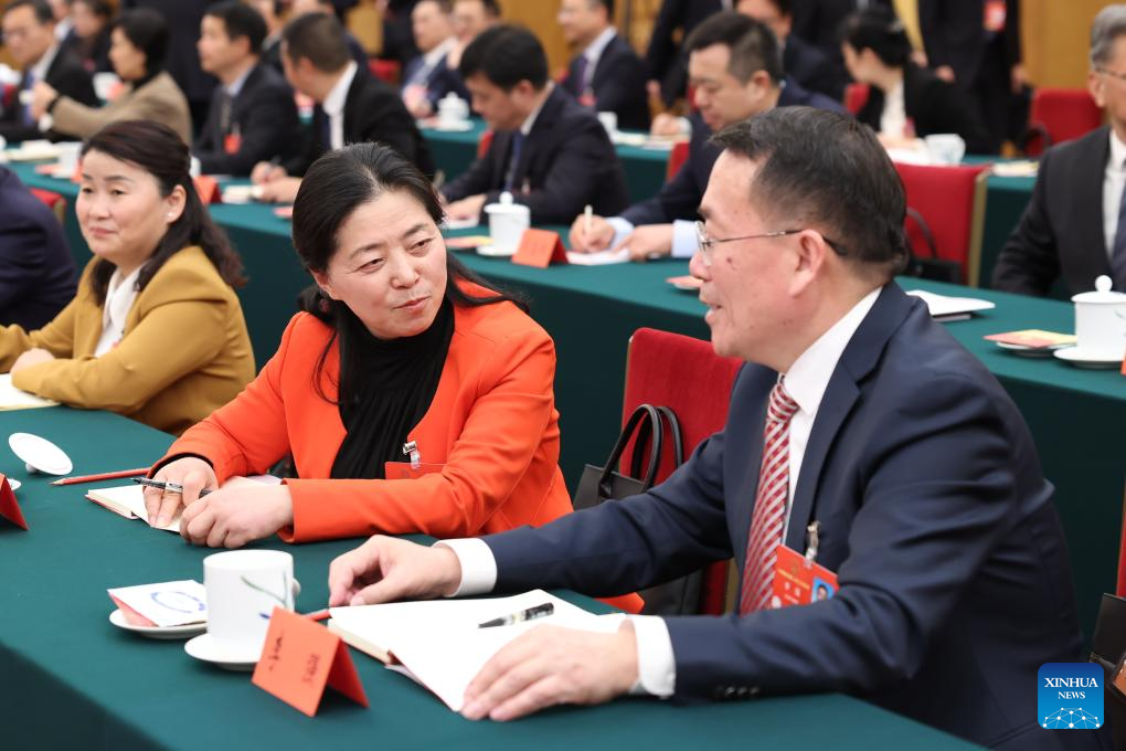 NPC delegations hold meetings to deliberate government work report