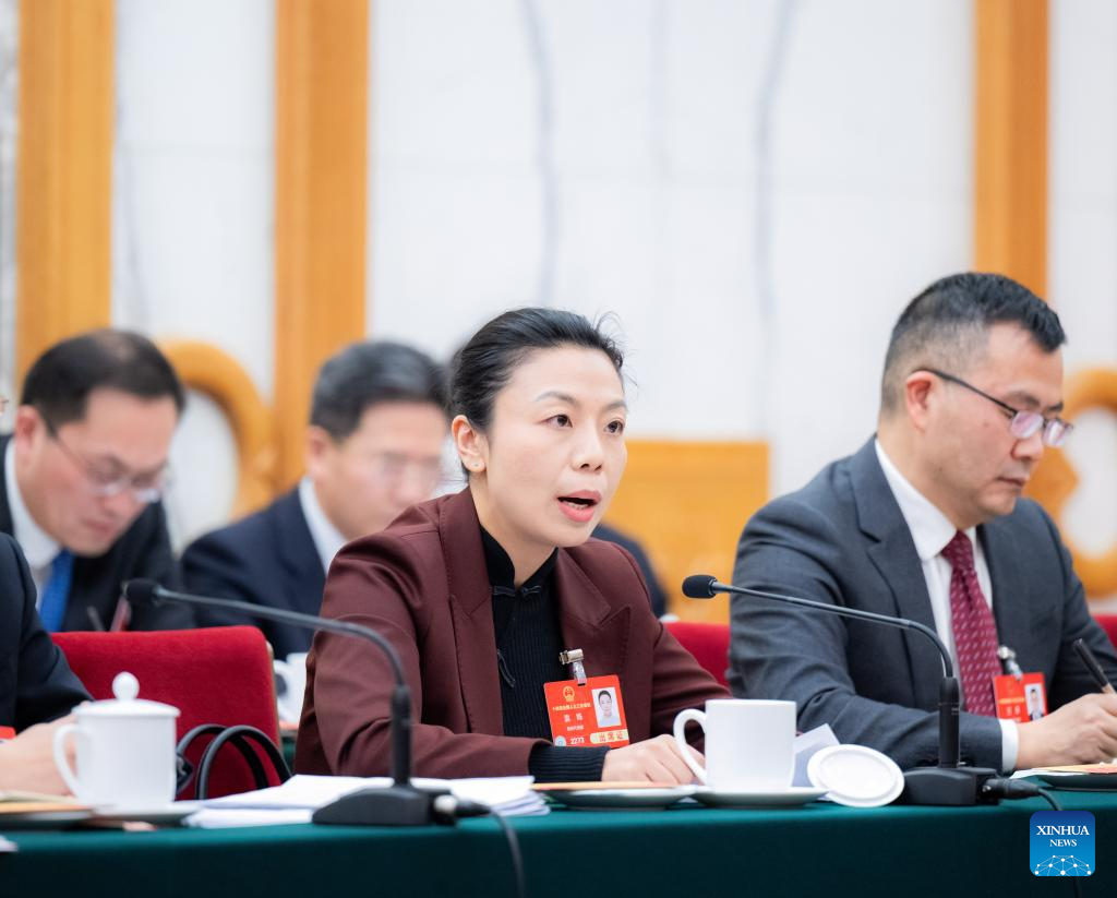 NPC delegations hold meetings to deliberate government work report