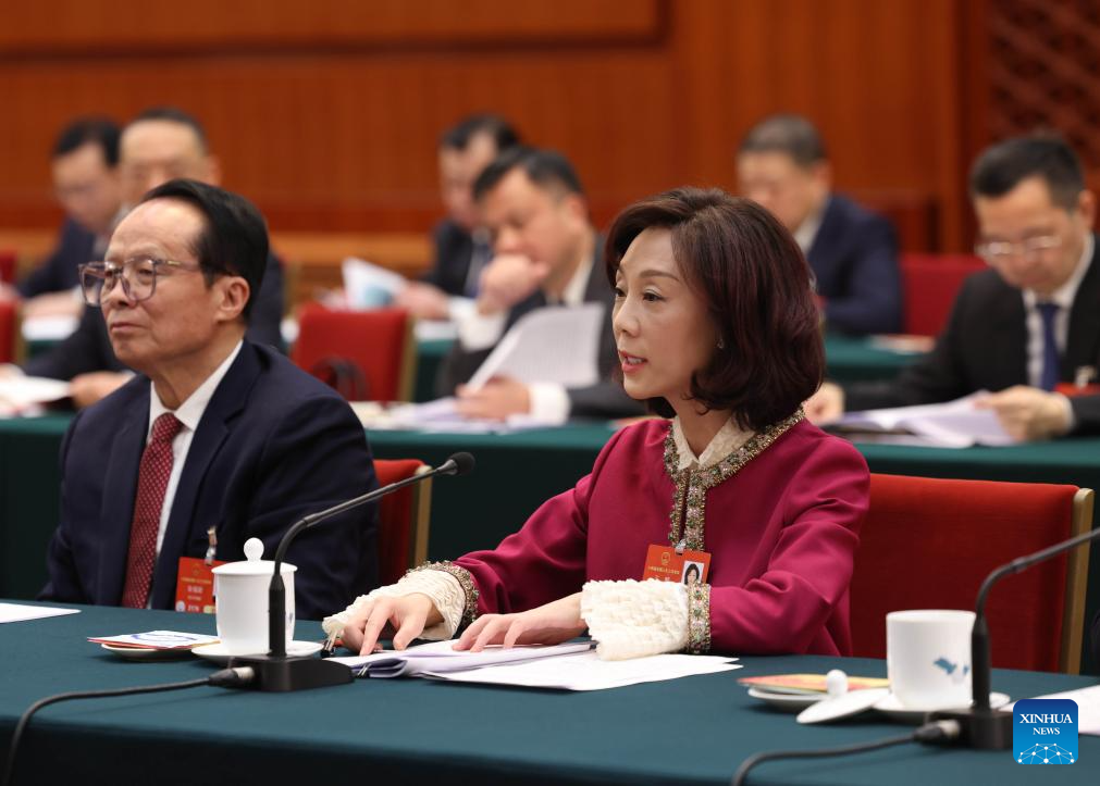 NPC delegations hold meetings to deliberate government work report