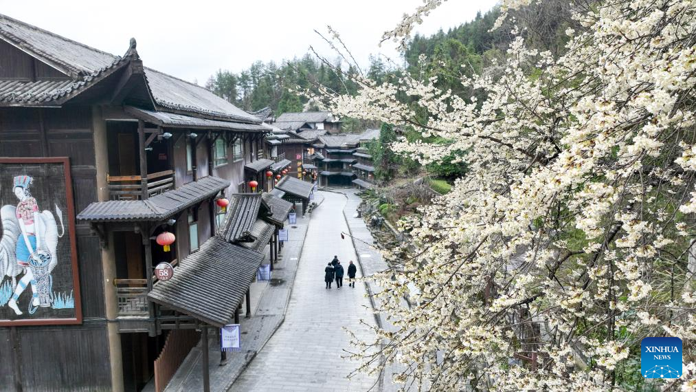 Spring scenery across China