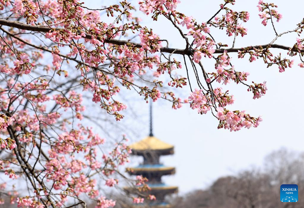 Spring scenery across China