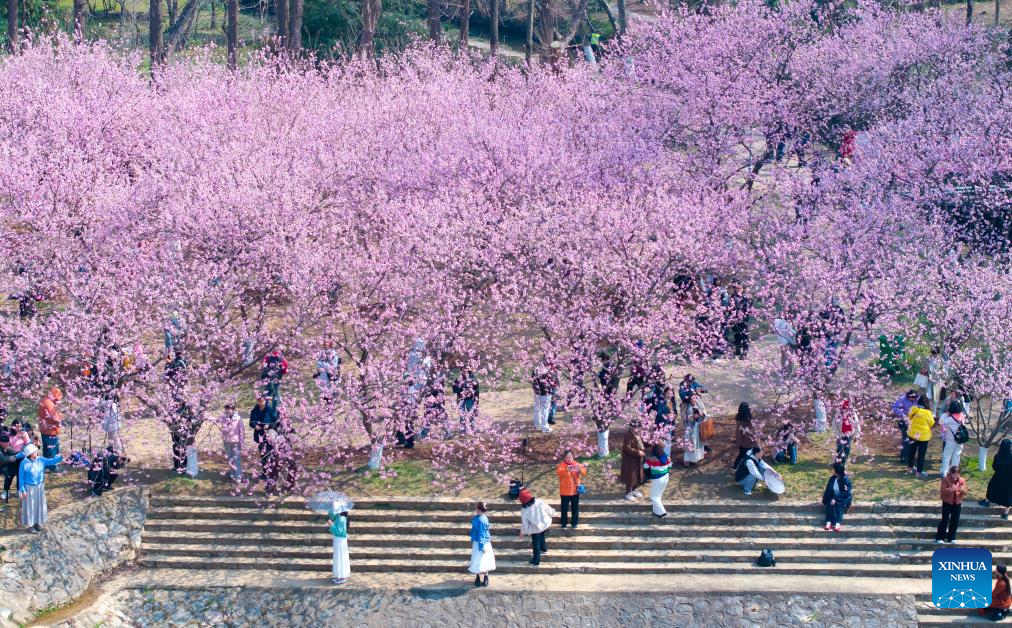 Spring scenery across China