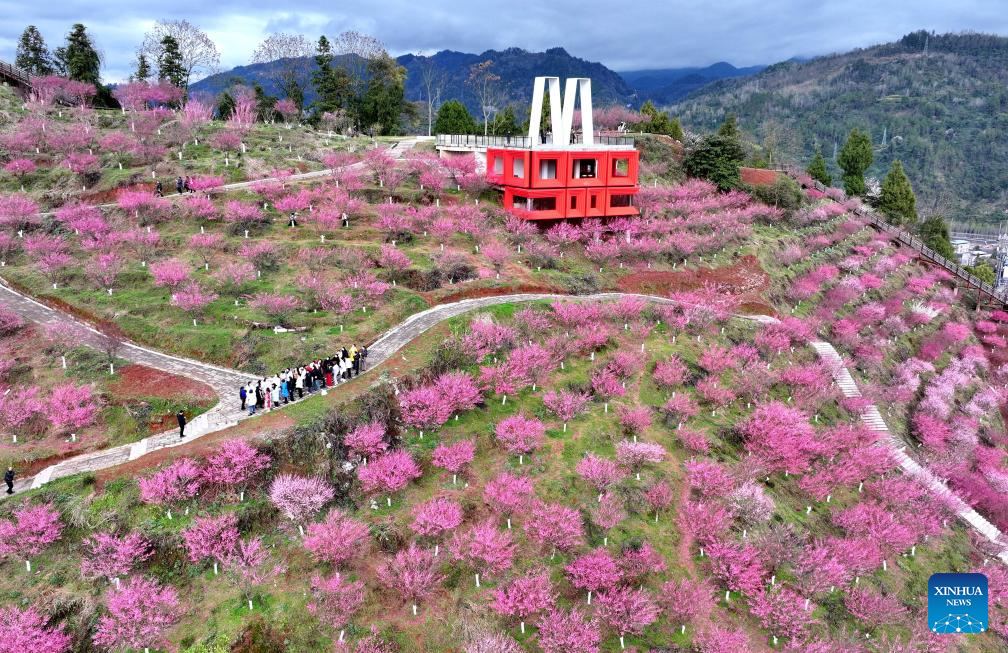 Spring scenery across China