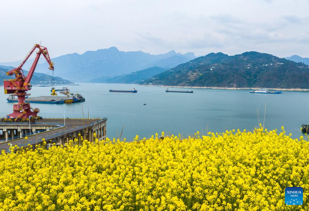 Spring scenery across China