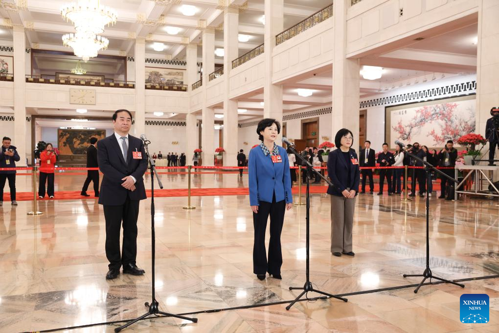 CPPCC members interviewed ahead of second plenary meeting