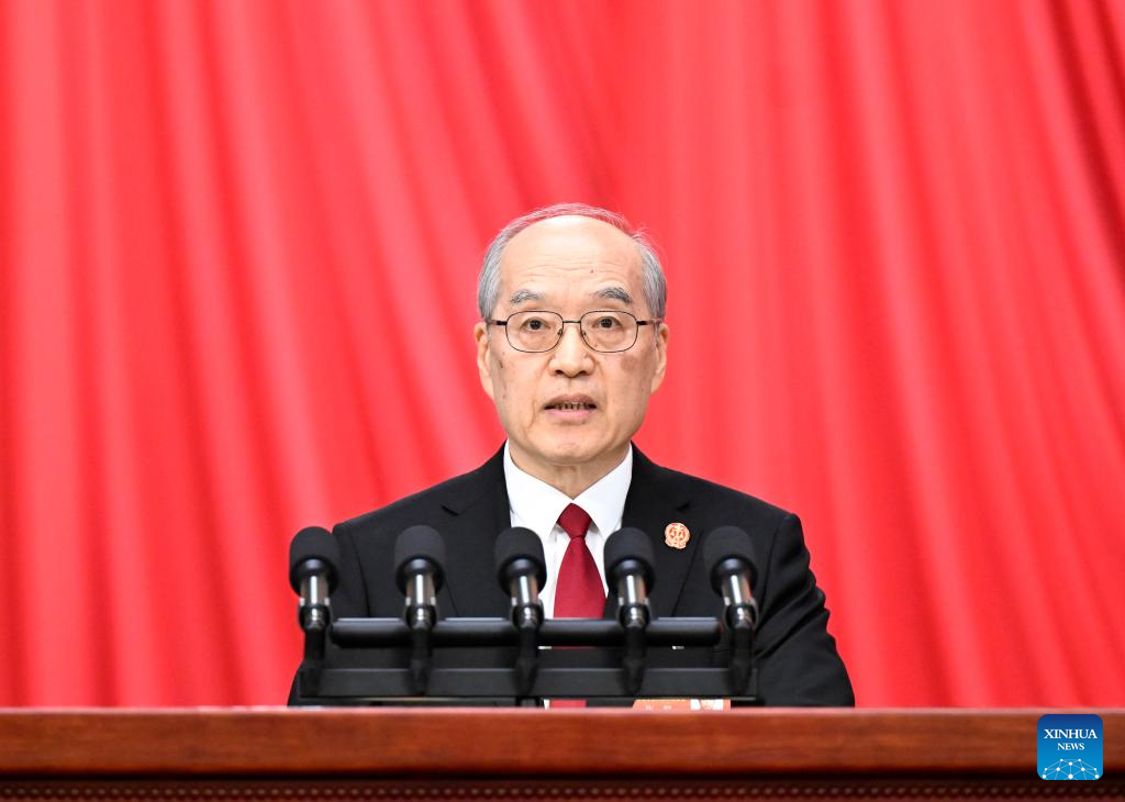 2nd plenary meeting of 3rd session of 14th NPC held in Beijing