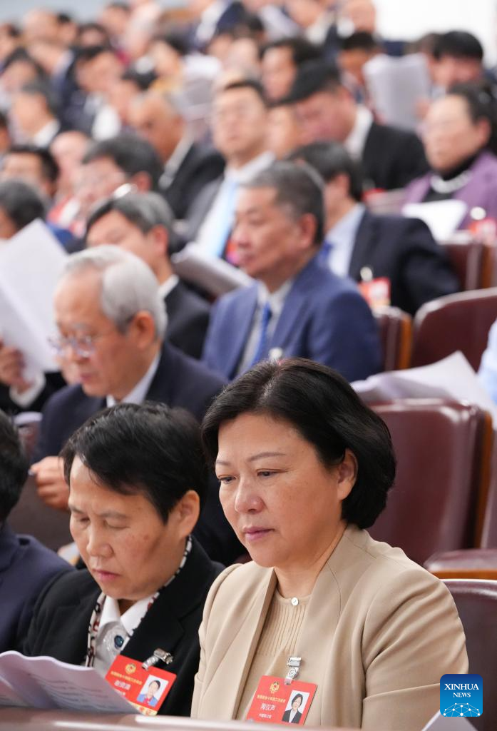 2nd plenary meeting of 3rd session of 14th NPC held in Beijing