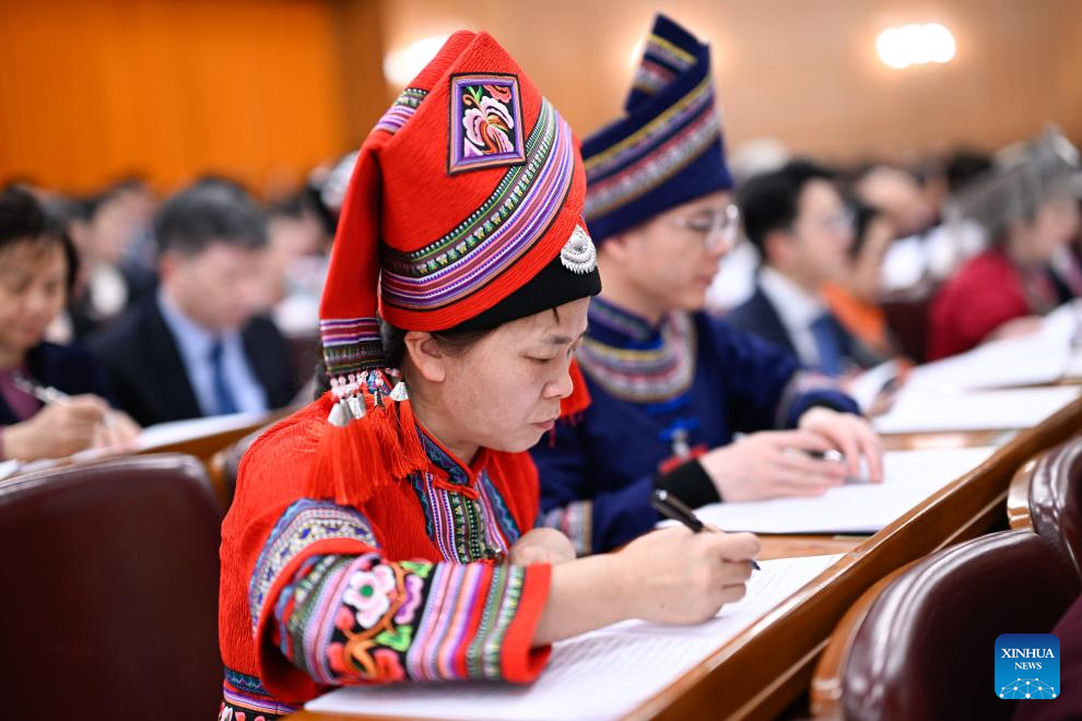 2nd plenary meeting of 3rd session of 14th NPC held in Beijing