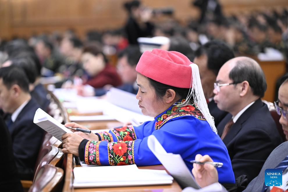 2nd plenary meeting of 3rd session of 14th NPC held in Beijing