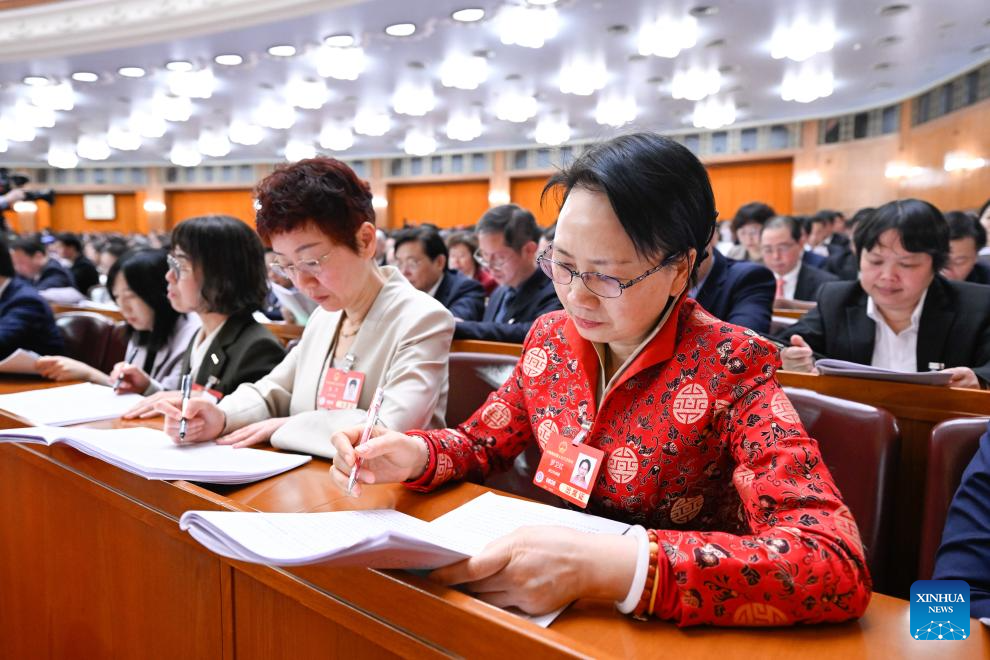 2nd plenary meeting of 3rd session of 14th NPC held in Beijing