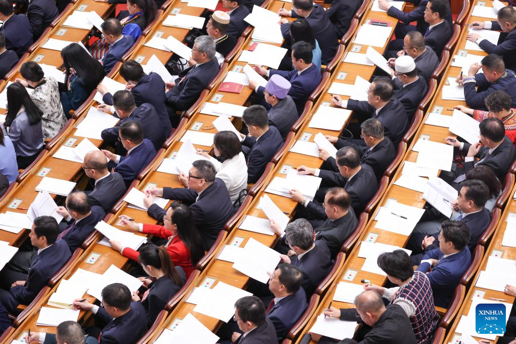 2nd plenary meeting of 3rd session of 14th NPC held in Beijing