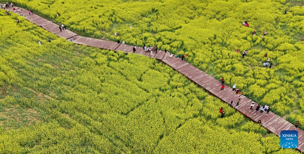 People enjoy spring across China