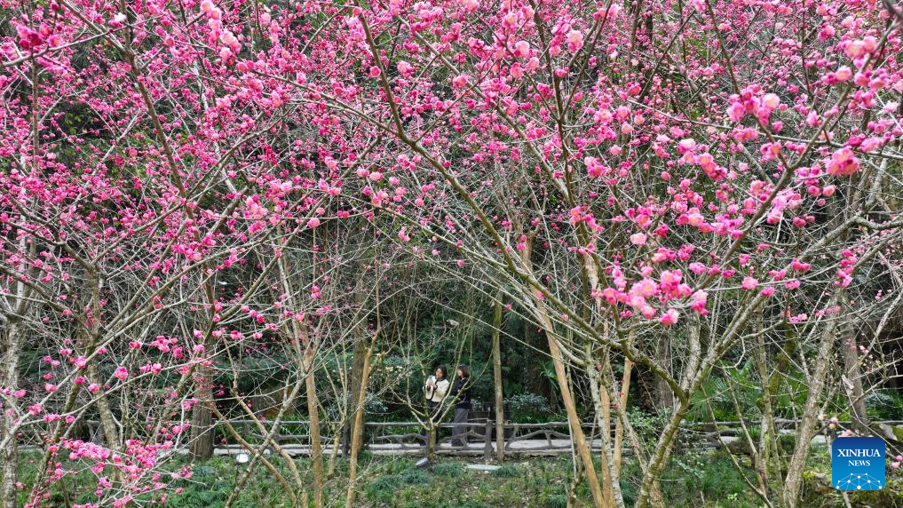 People enjoy spring across China