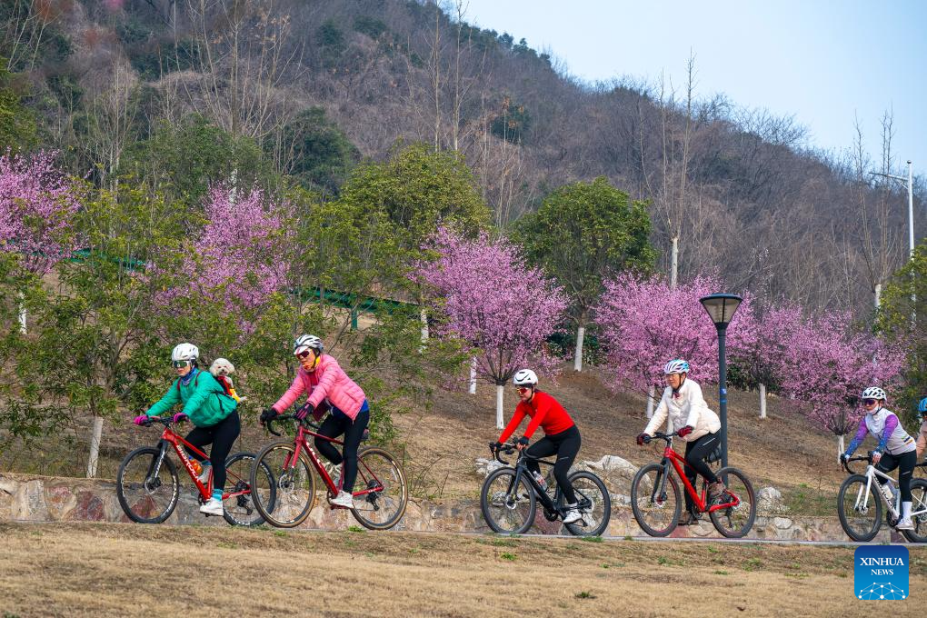 People enjoy spring across China