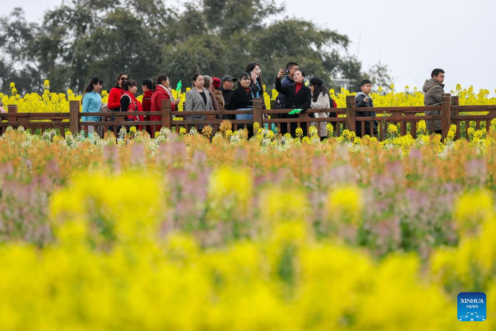 People enjoy spring across China