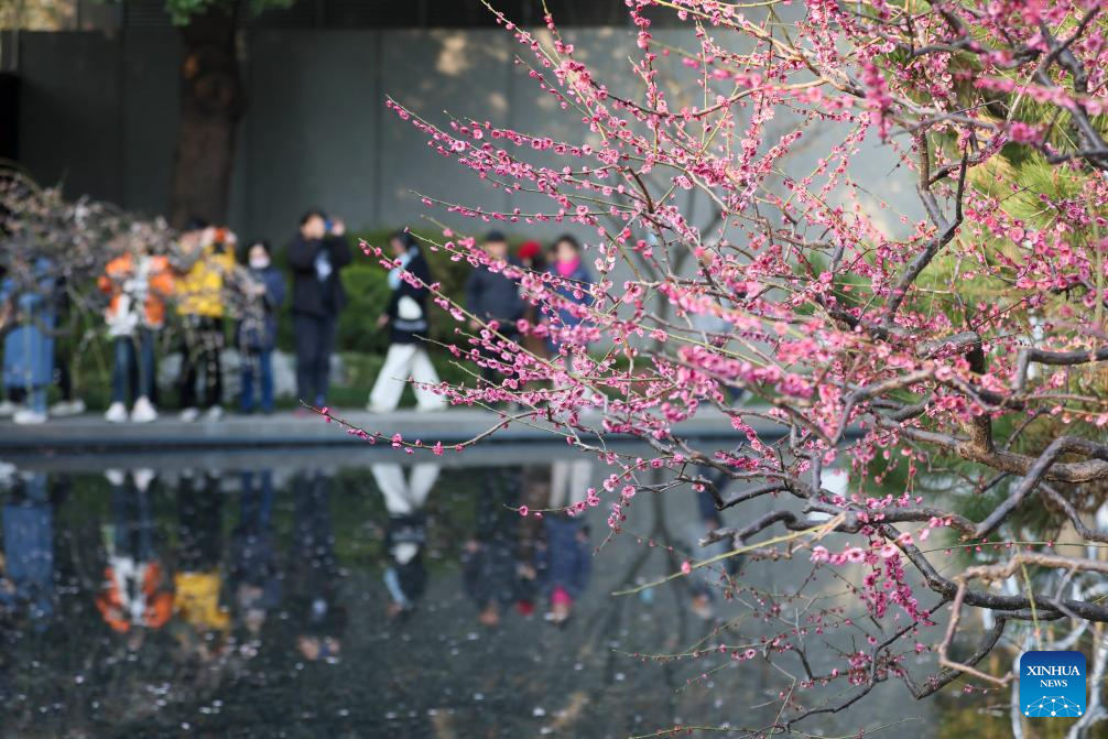 People enjoy spring across China