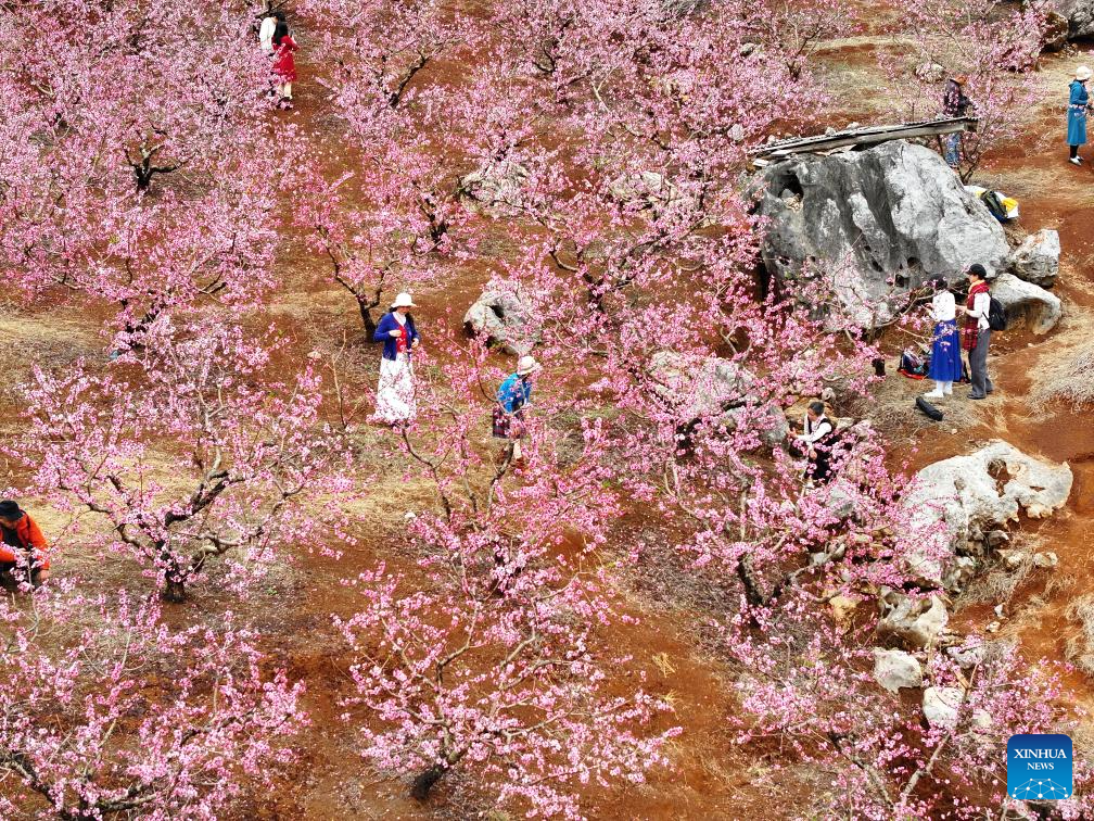 People enjoy spring across China