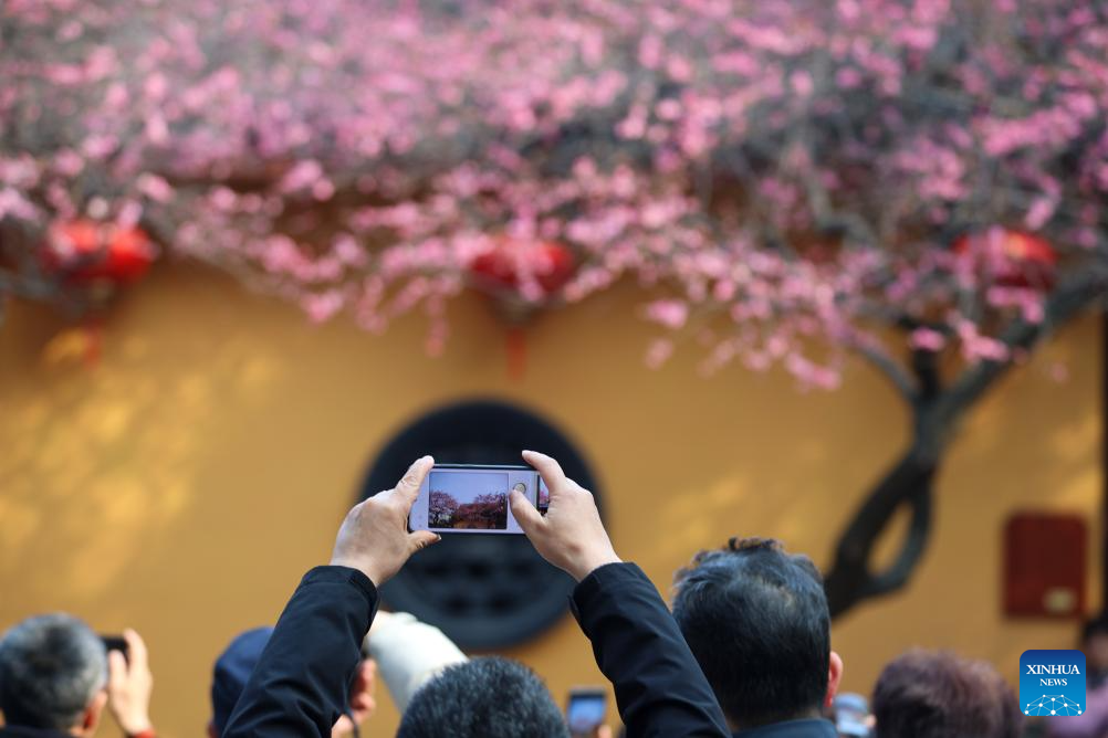 People enjoy spring across China