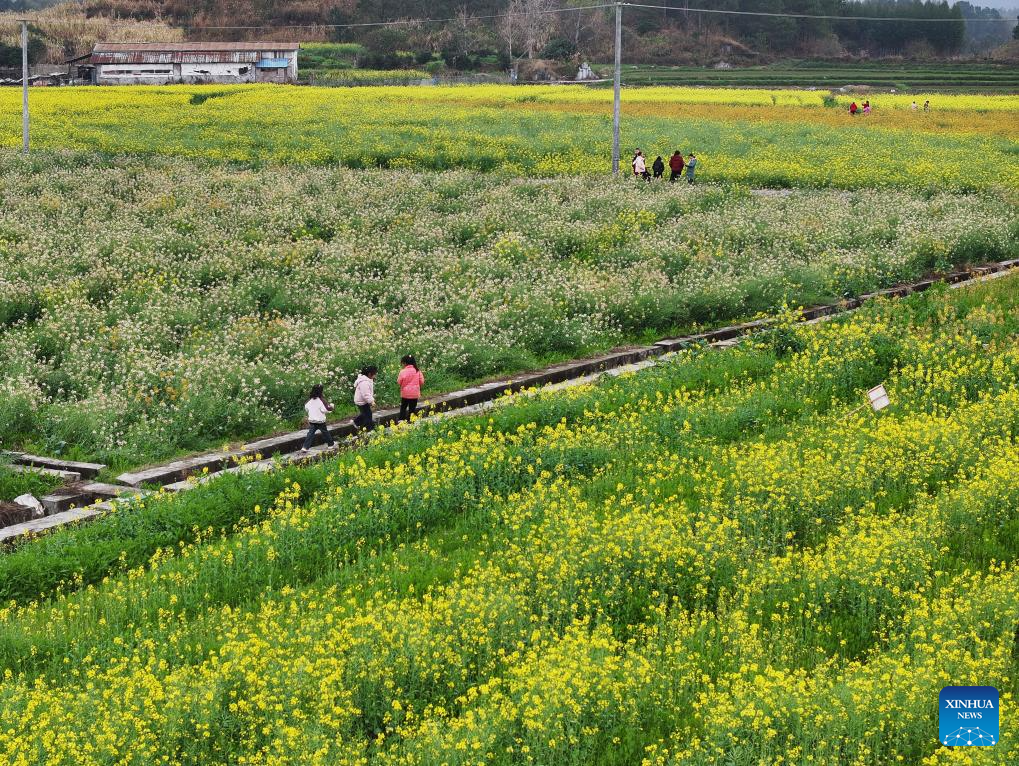 People enjoy spring across China