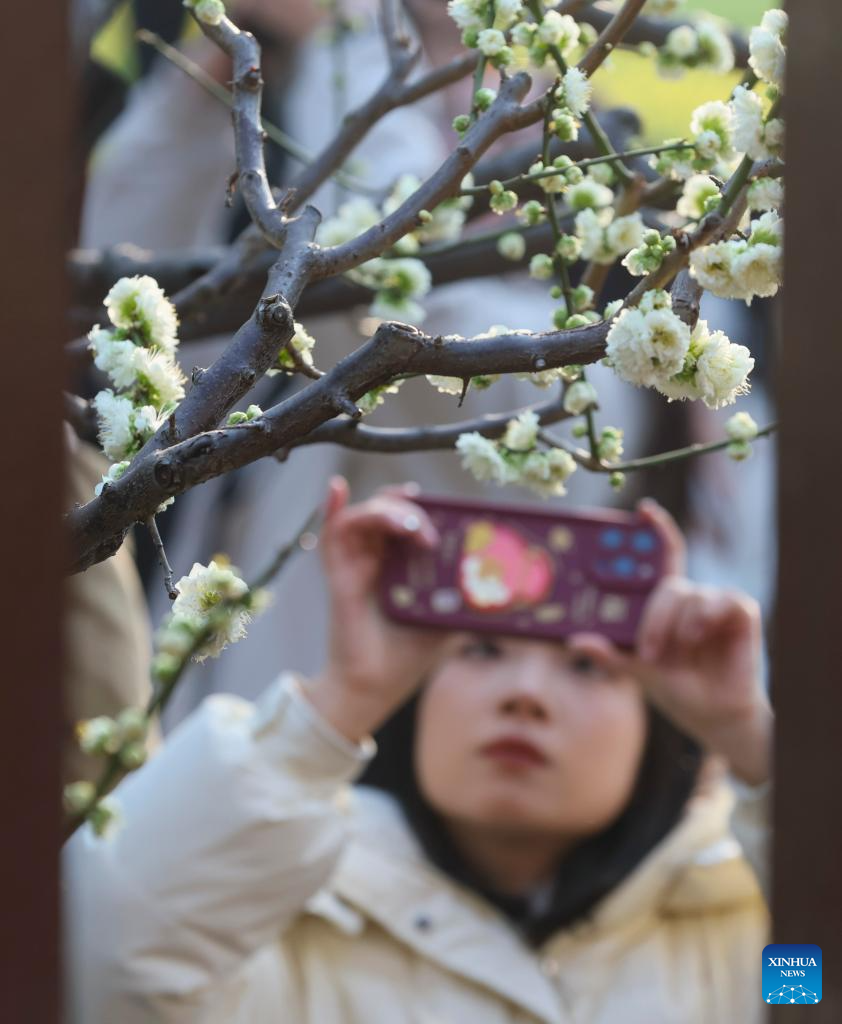 People enjoy spring across China