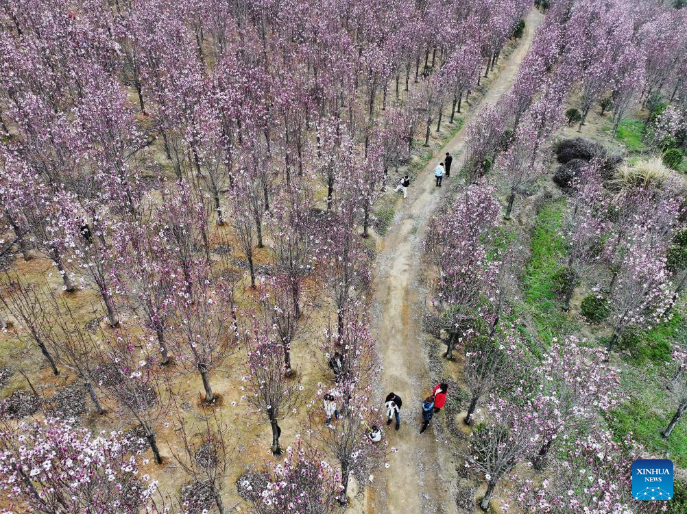 People enjoy spring across China