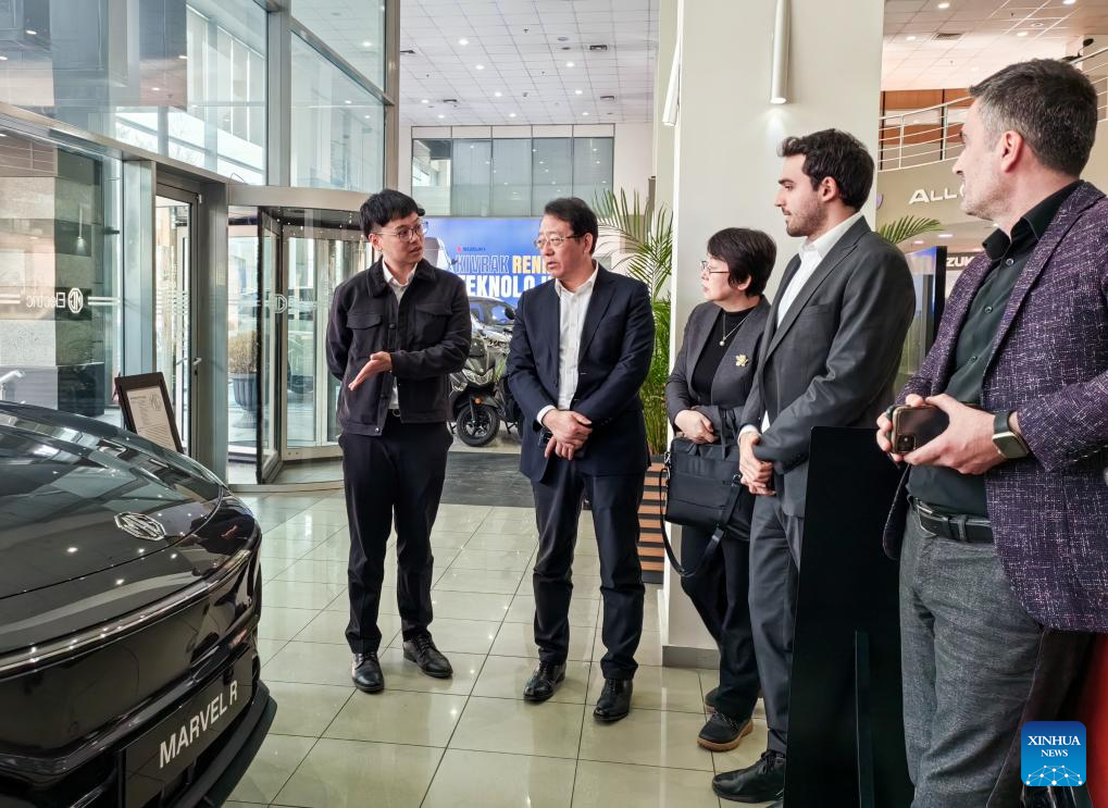 NPC deputy calls for innovation-driven development for auto industry