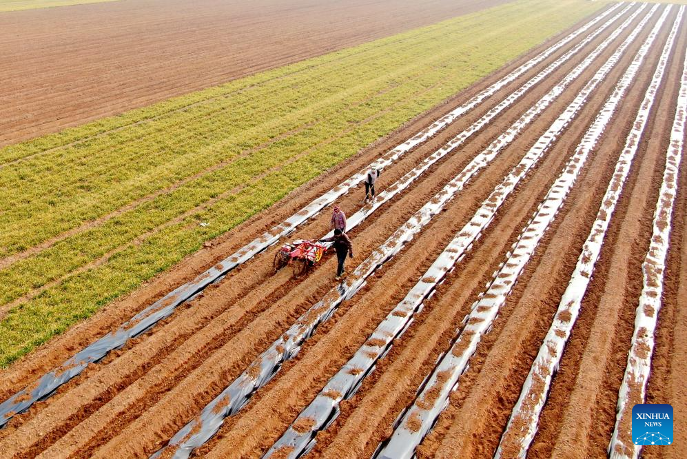 Farmers busy with spring farming across China