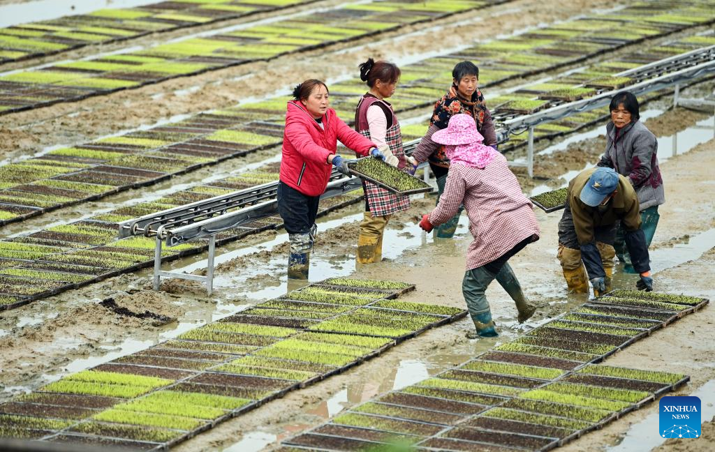 Farmers busy with spring farming across China